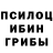 Псилоцибиновые грибы MAGIC MUSHROOMS Nemet Eyvazov